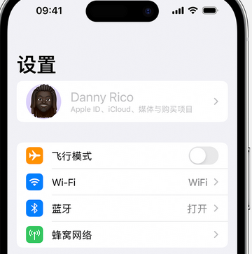 胡市镇appleID维修服务iPhone设置中Apple ID显示为灰色无法使用 