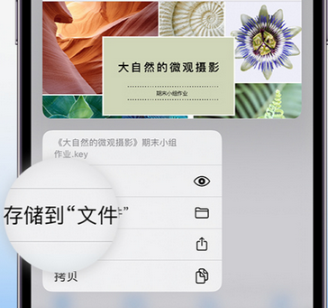 胡市镇apple维修中心分享iPhone文件应用中存储和找到下载文件