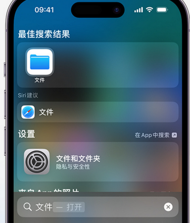 胡市镇apple维修中心分享iPhone文件应用中存储和找到下载文件 