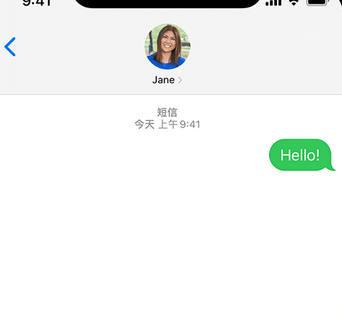 胡市镇apple维修iPhone上无法正常发送iMessage信息