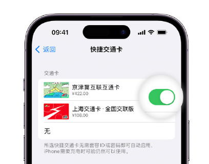 胡市镇apple维修点分享iPhone上更换Apple Pay快捷交通卡手绘卡面 