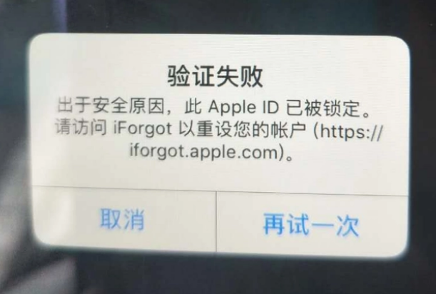 胡市镇iPhone维修分享iPhone上正常登录或使用AppleID怎么办 