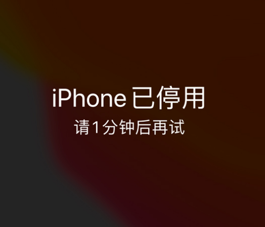 胡市镇苹果手机维修分享:iPhone 显示“不可用”或“已停用”怎么办？还能保留数据吗？ 