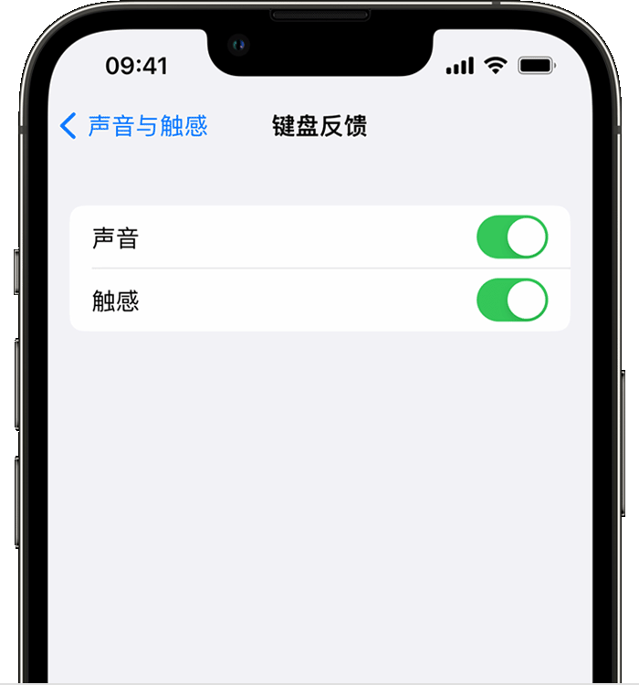 胡市镇苹果14维修店分享如何在 iPhone 14 机型中使用触感键盘 