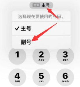 胡市镇苹果14维修店分享iPhone 14 Pro Max使用副卡打电话的方法 