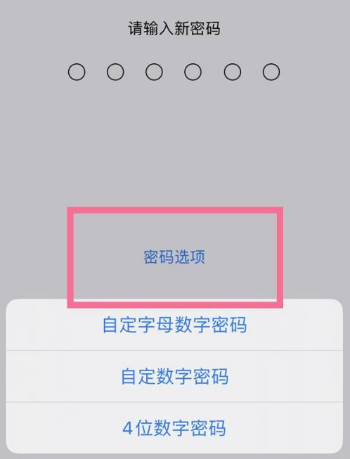 胡市镇苹果14维修分享iPhone 14plus设置密码的方法 