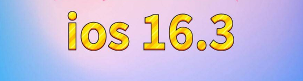 胡市镇苹果服务网点分享苹果iOS16.3升级反馈汇总 