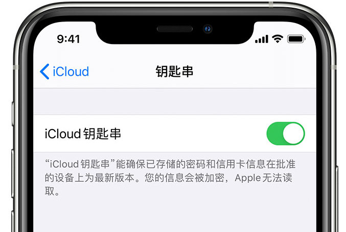 胡市镇苹果手机维修分享在 iPhone 上开启 iCloud 钥匙串之后会储存哪些信息 